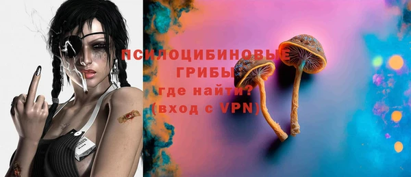 мяу мяу мука Арсеньев