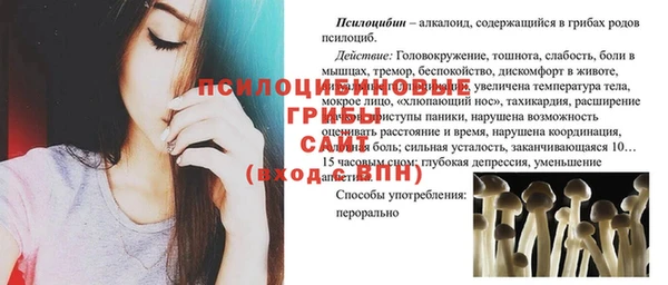 каннабис Аркадак