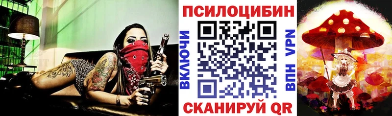 Галлюциногенные грибы GOLDEN TEACHER Белозерск